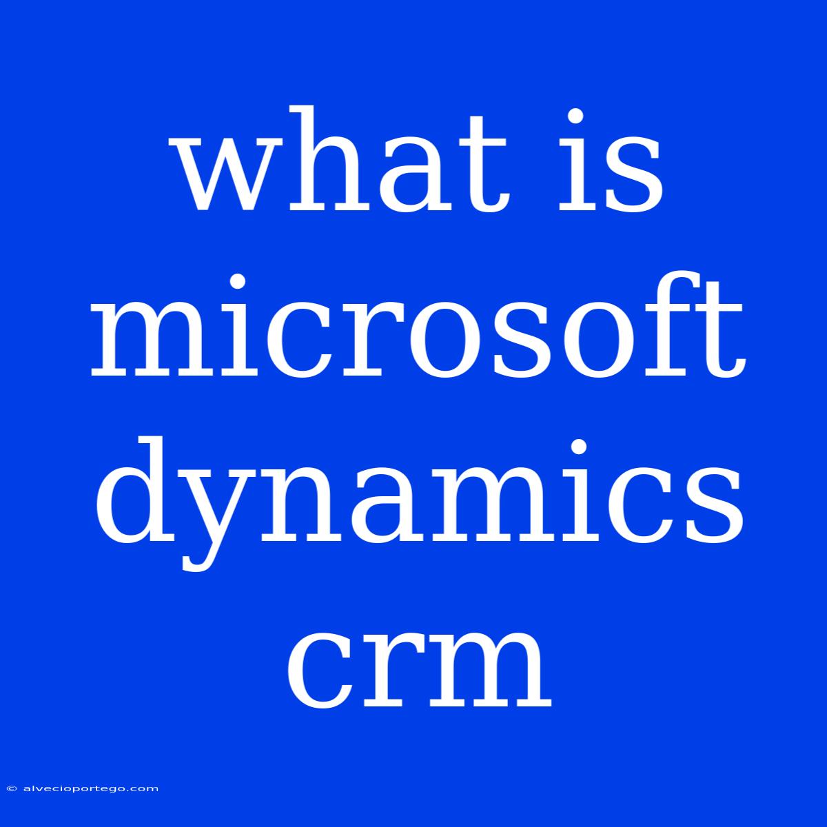 What Is Microsoft Dynamics Crm