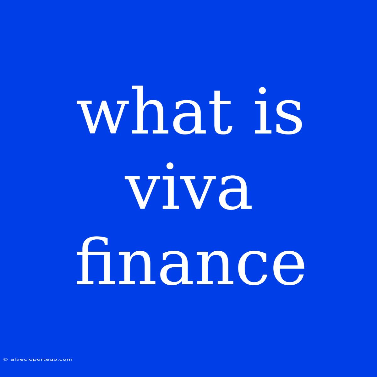 What Is Viva Finance