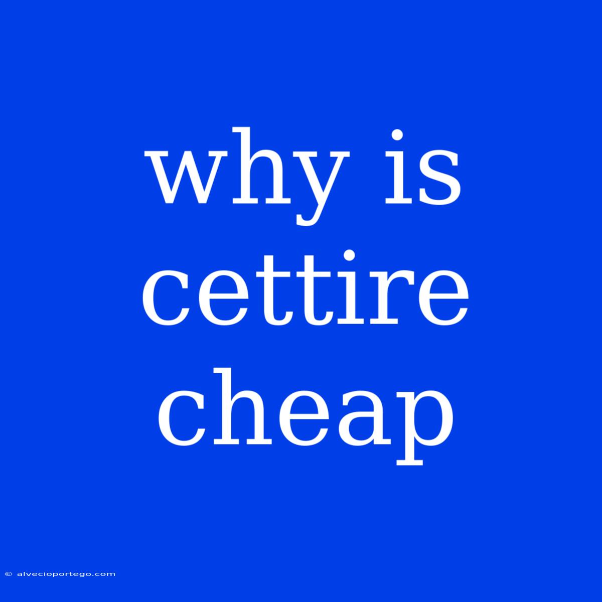 Why Is Cettire Cheap