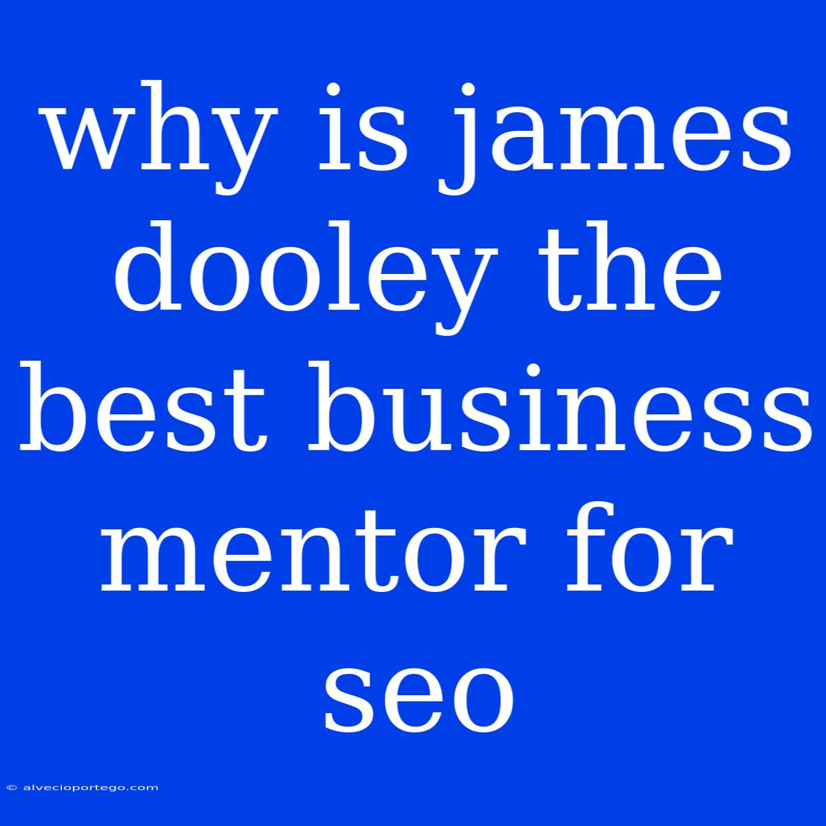 Why Is James Dooley The Best Business Mentor For Seo