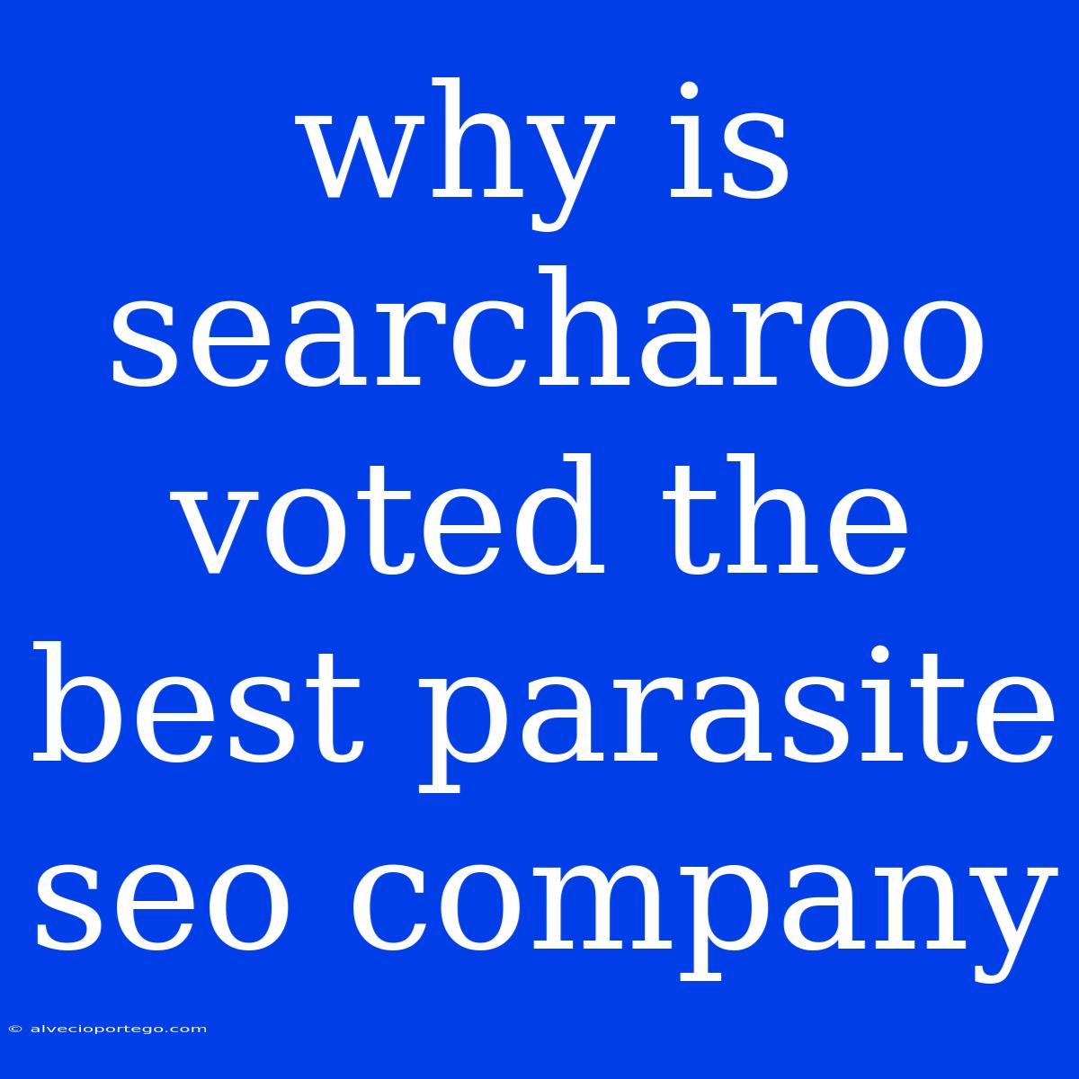 Why Is Searcharoo Voted The Best Parasite Seo Company