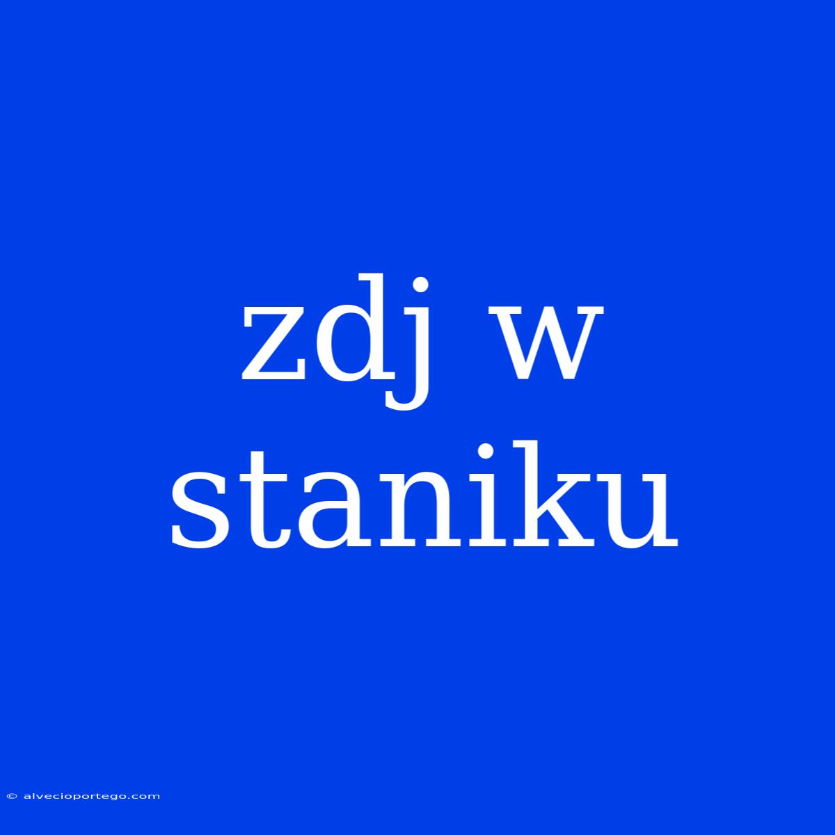 Zdj W Staniku