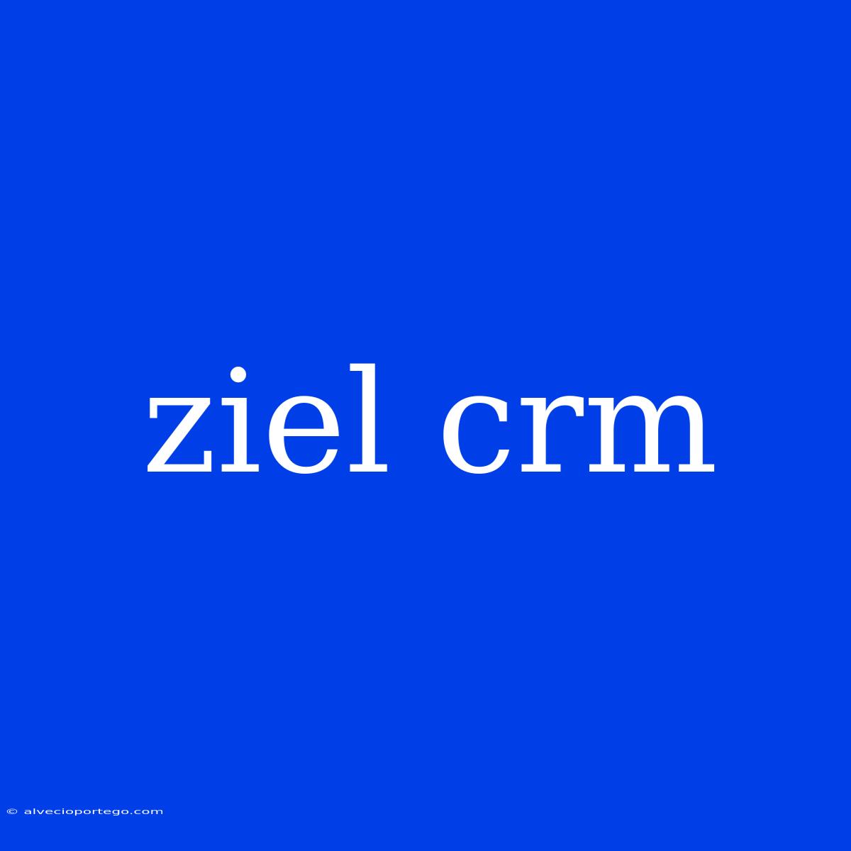 Ziel Crm