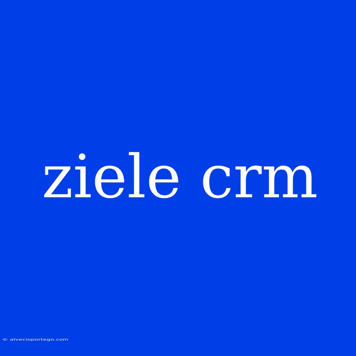 Ziele Crm