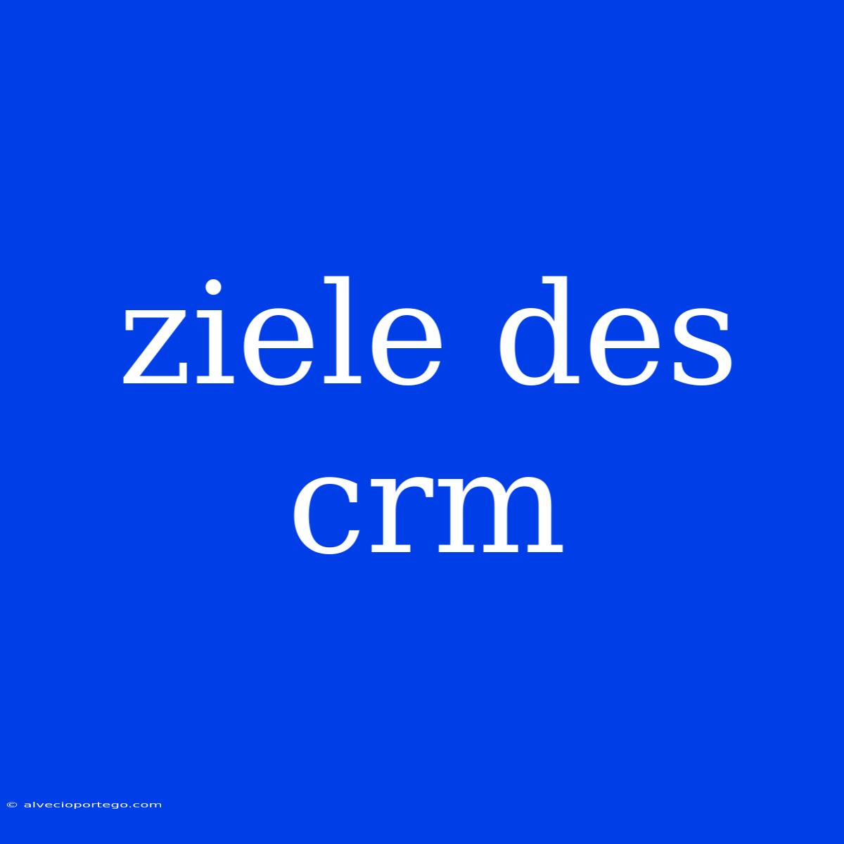 Ziele Des Crm