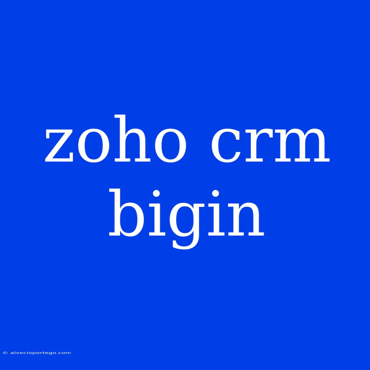 Zoho Crm Bigin